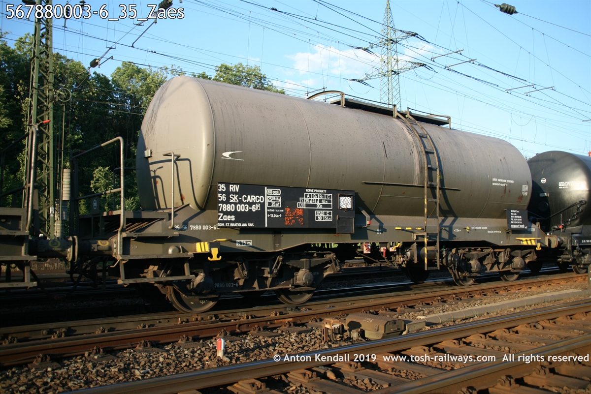 567880003-6_35_Zaes.jpg